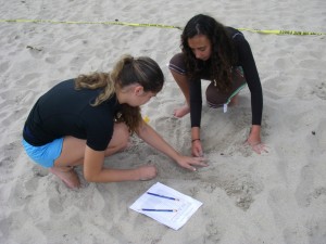 Students helping Sea Turtles during nesting season