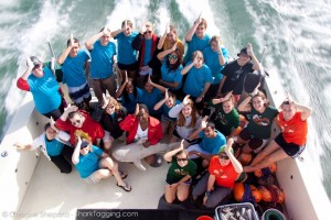 Fins Up!